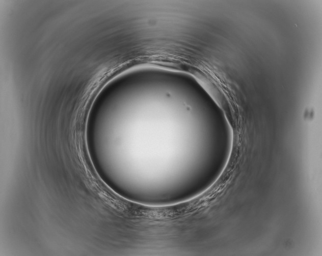 X0000090500241200707201553