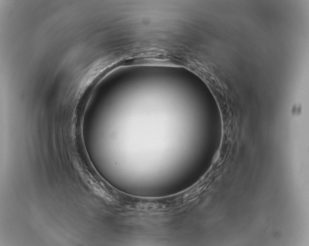 X0000090500242200707201553