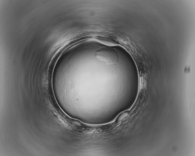 X0000090500243200707201553