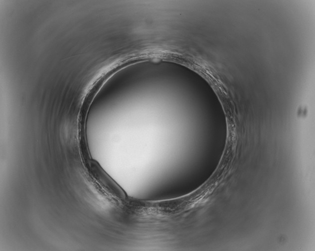 X0000090500244200707201553