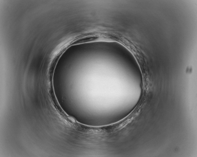 X0000090500245200707201553