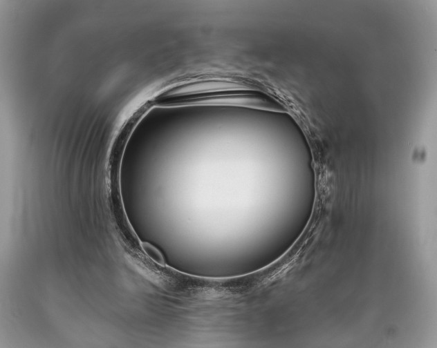 X0000090500246200707201553