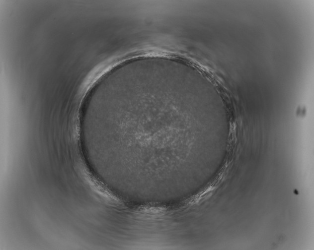 X0000090500247200707201553