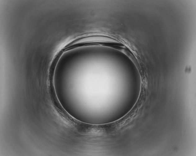 X0000090500248200707201553