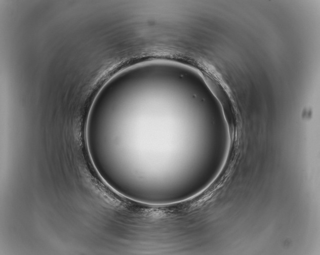 X0000090500249200707201553