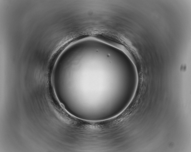 X0000090500250200707201553