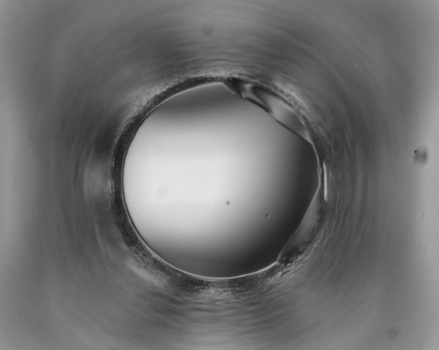 X0000090500252200707201553