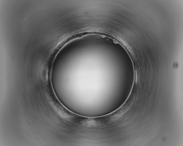 X0000090500253200707201553