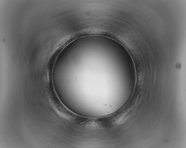 X0000090500254200707201553