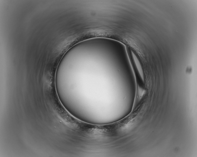 X0000090500255200707201553