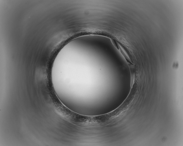 X0000090500256200707201553