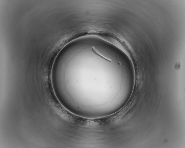 X0000090500257200707201553