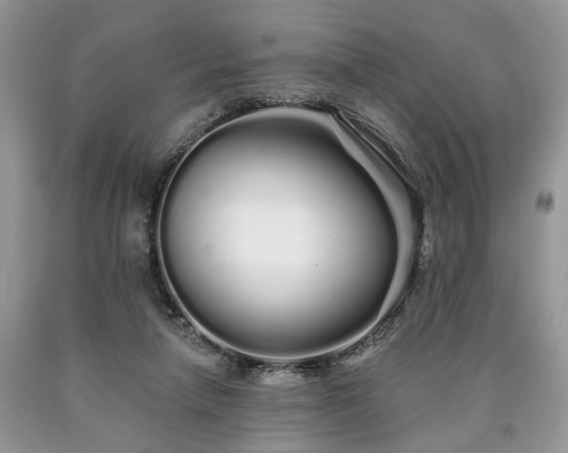 X0000090500258200707201553