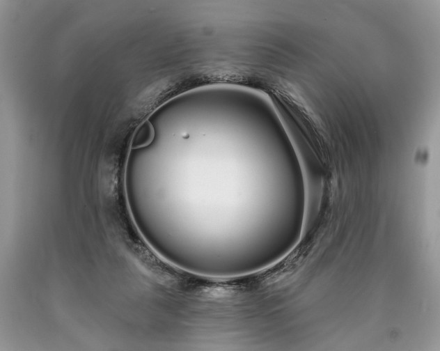 X0000090500259200707201553