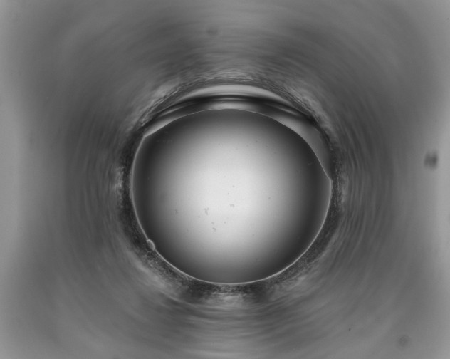 X0000090500260200707201553