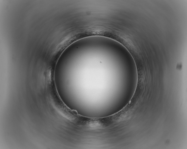 X0000090500262200707201553