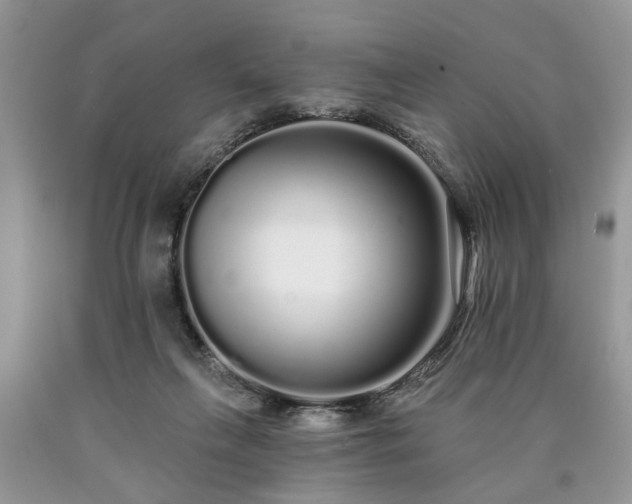 X0000090500263200707201553