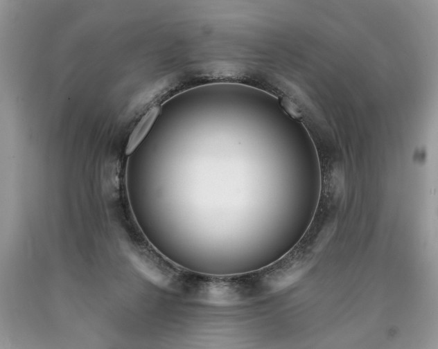 X0000090500264200707201553