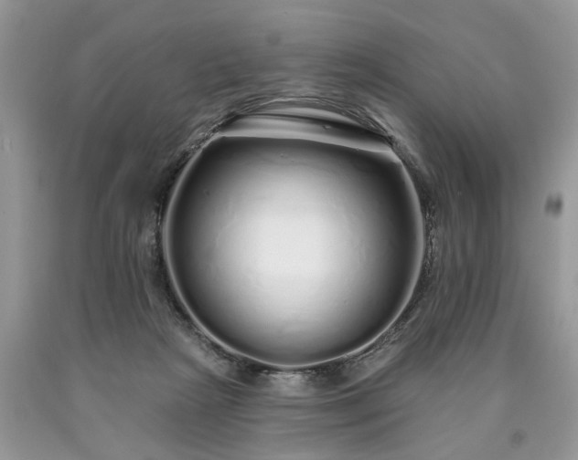 X0000090500265200707201553