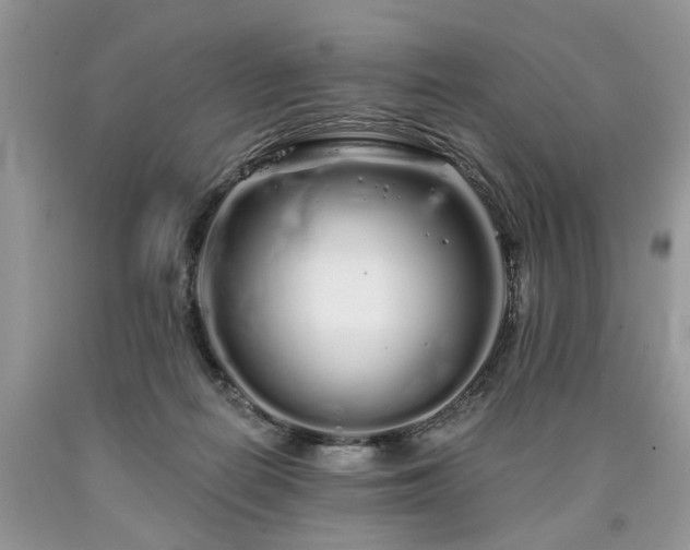 X0000090500266200707201553