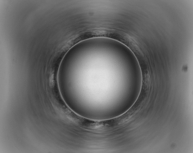 X0000090500267200707201553