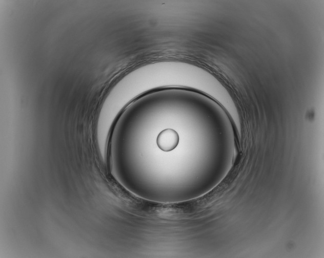 X0000090500268200707201553