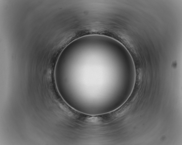 X0000090500269200707201553