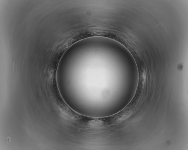 X0000090500271200707201553