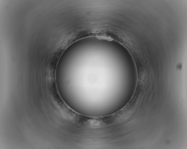 X0000090500272200707201553