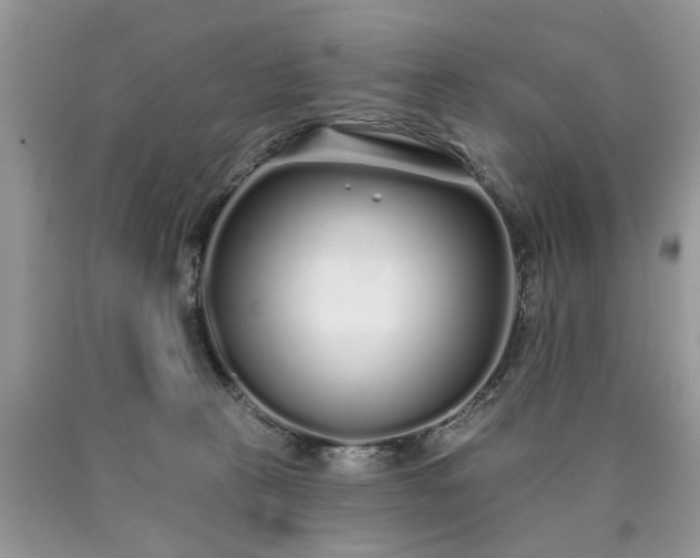 X0000090500273200707201553