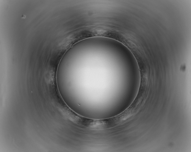 X0000090500274200707201553