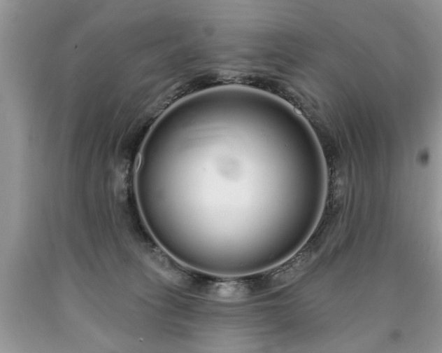 X0000090500275200707201553