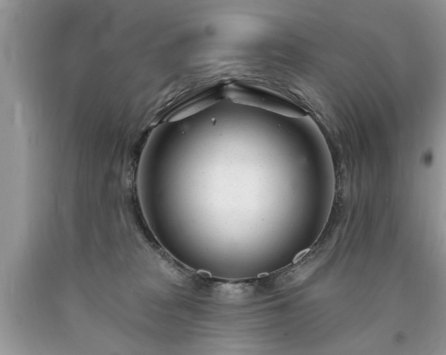 X0000090500277200707201553