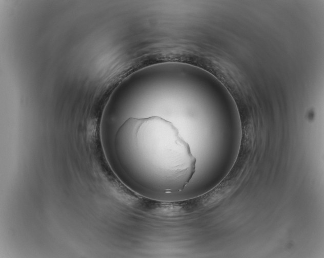 X0000090500278200707201553