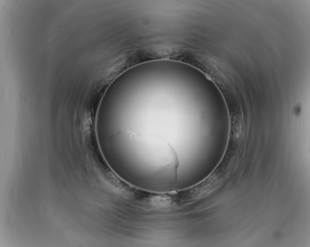 X0000090500279200707201553