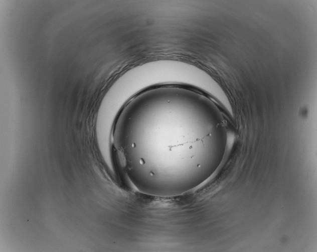 X0000090500280200707201553