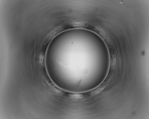 X0000090500281200707201553