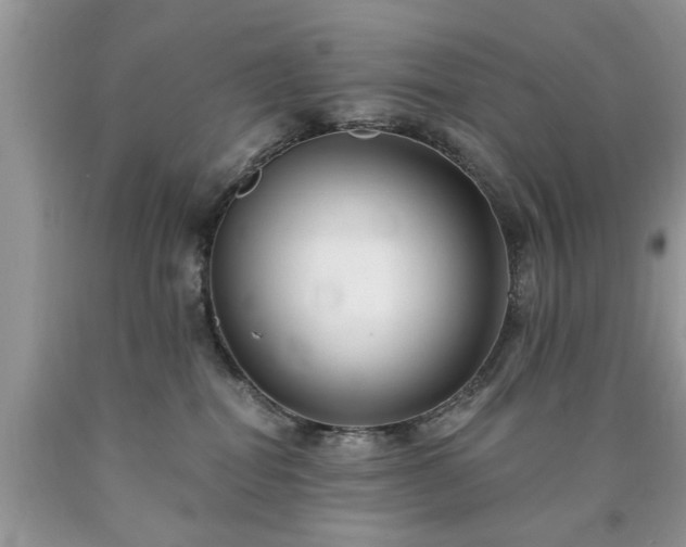 X0000090500282200707201553