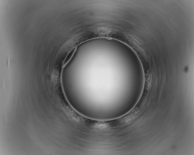 X0000090500283200707201553