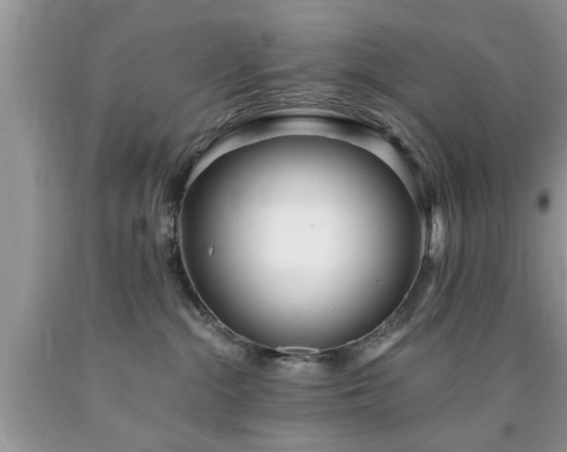 X0000090500284200707201553