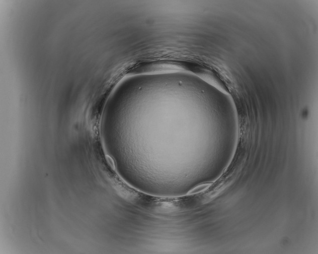 X0000090500285200707201553