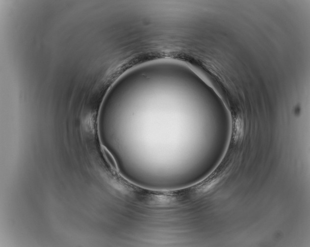 X0000090500286200707201553