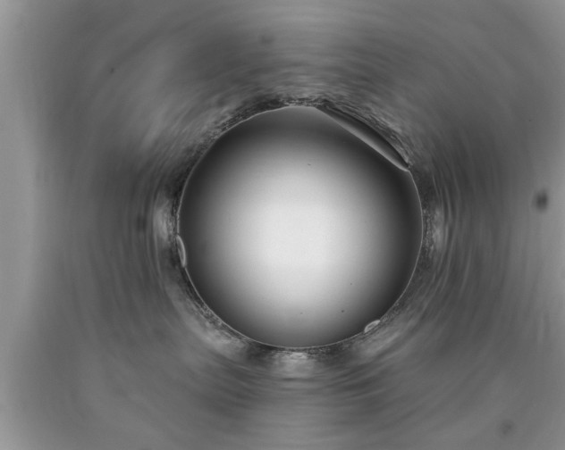 X0000090500287200707201553