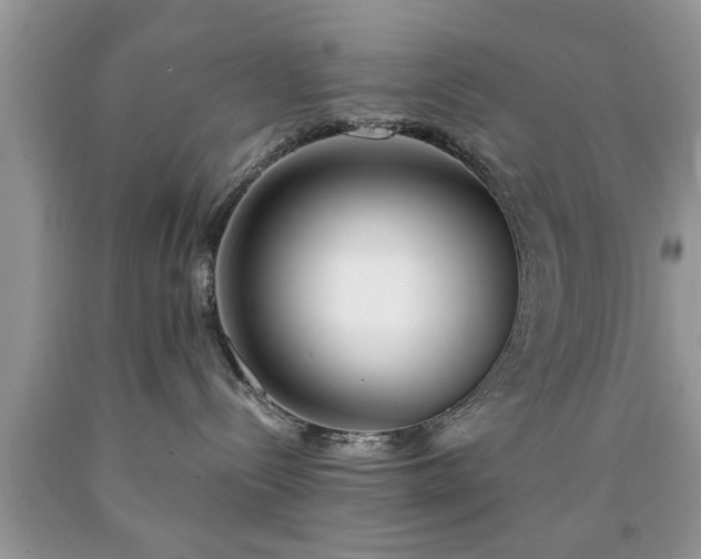 X0000090500288200707201553