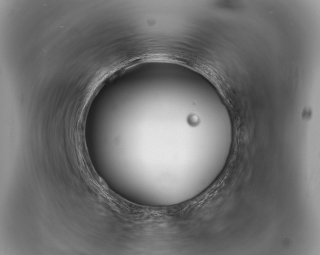 X0000090500289200707201553