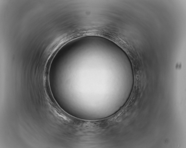 X0000090500290200707201553