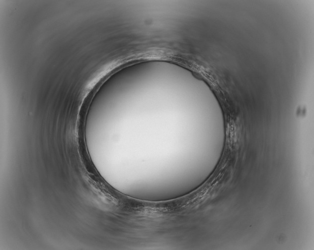 X0000090500292200707201553