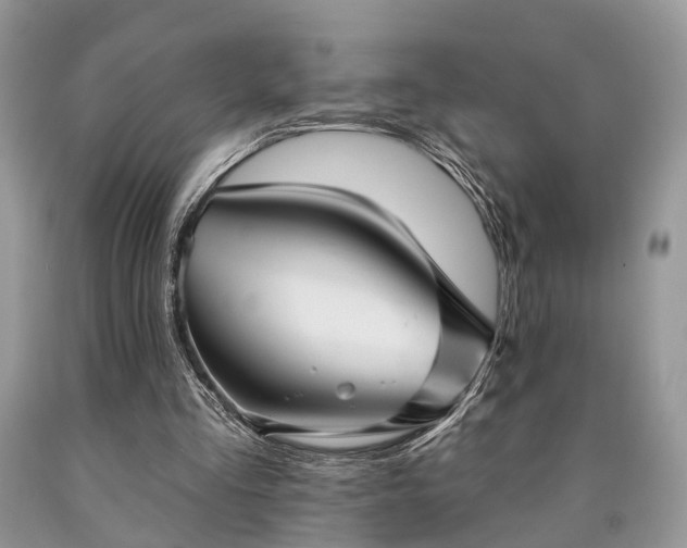 X0000090500293200707201553