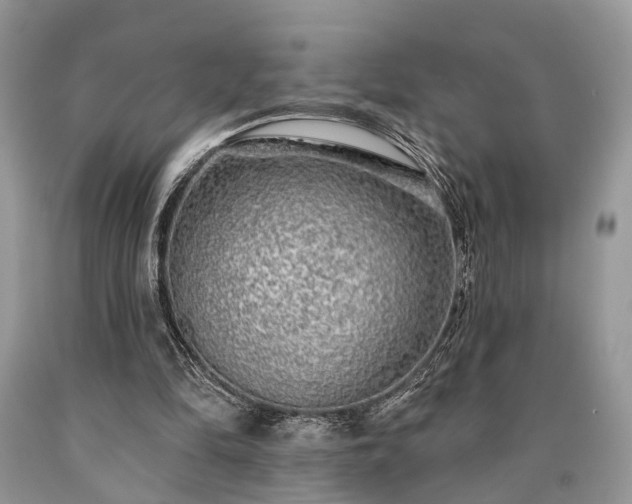 X0000090500294200707201553