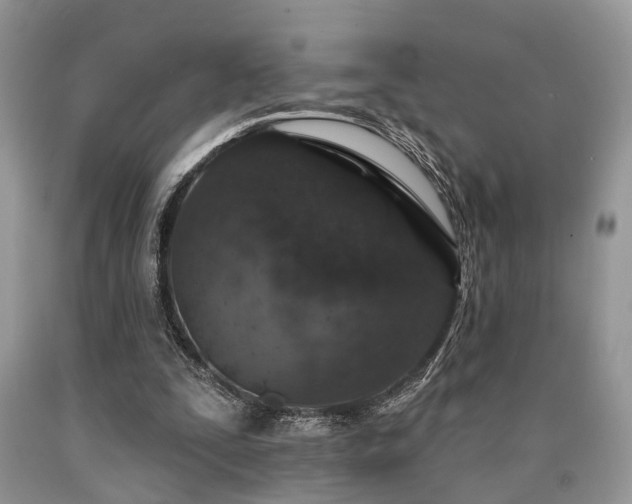 X0000090500295200707201553